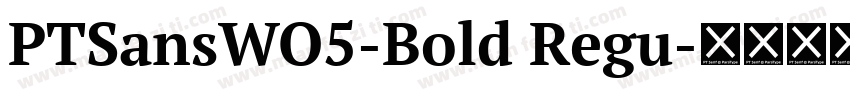 PTSansWO5-Bold Regu字体转换